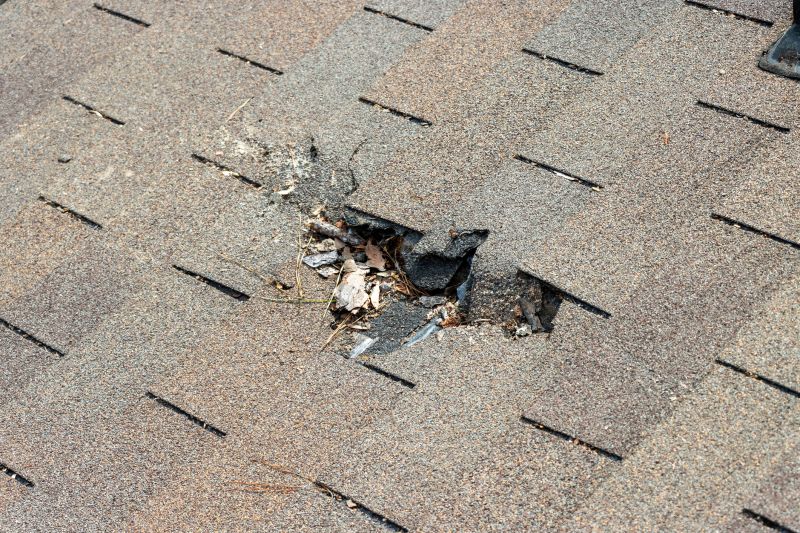 Shingles Replacement in Framingham, MA